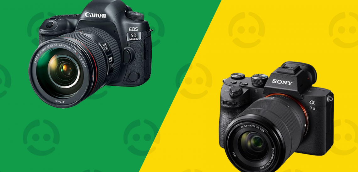 DSLR VS MIRRORLESS CAMERA FOR BEGINNERS visual data 6